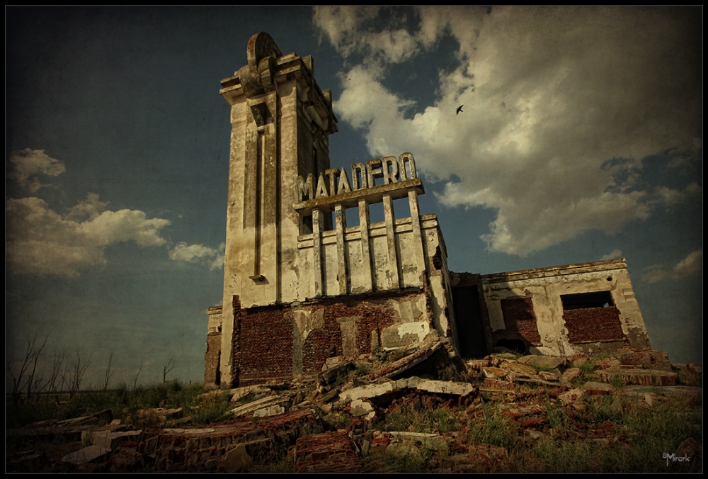 "Matadero" de Mirta Steinberg