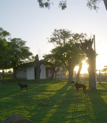 "PARQUE GAUCHO" de Hugo Zadunaisky