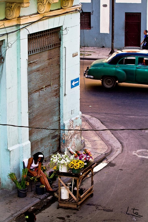 "La Floristera..." de Angel Triana