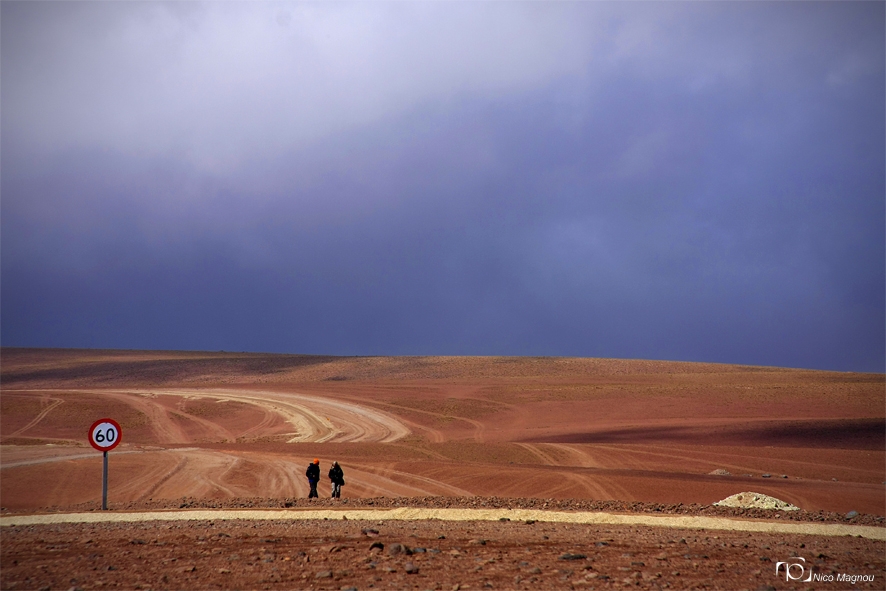 "DESIERTOS" de Nico Magnou