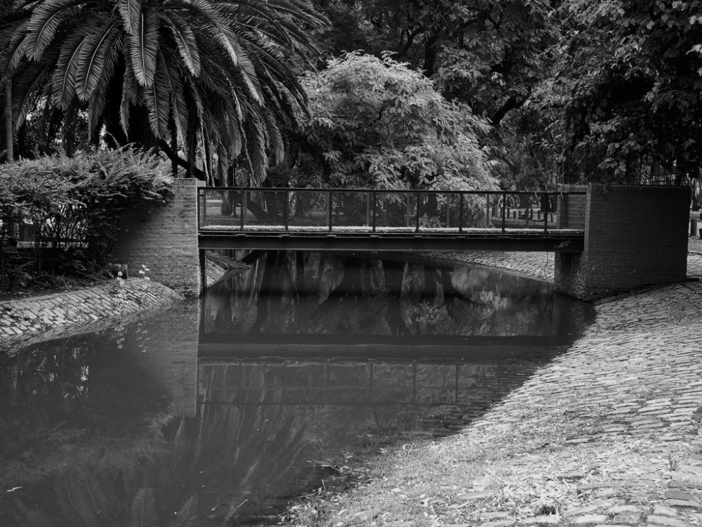 "El Puente !" de Beatriz Benger