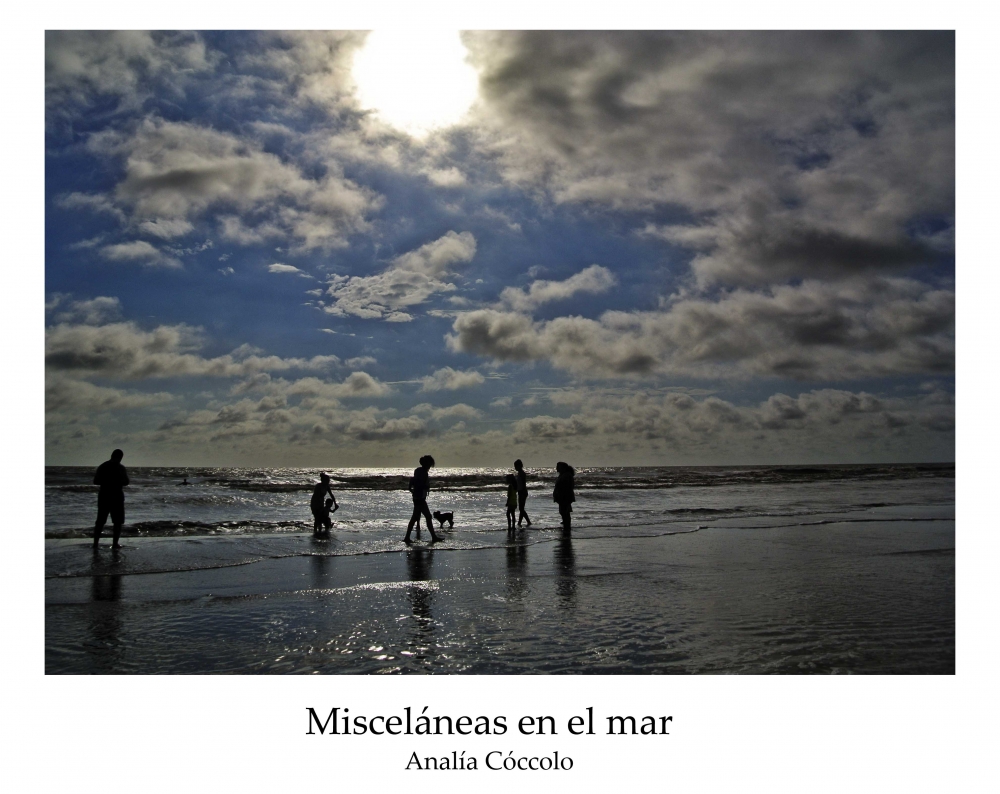 "Miscelneas en el mar" de Analia Coccolo