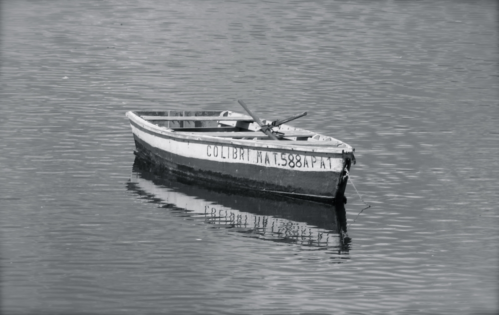 "El bote solo" de Ines Maria Correa