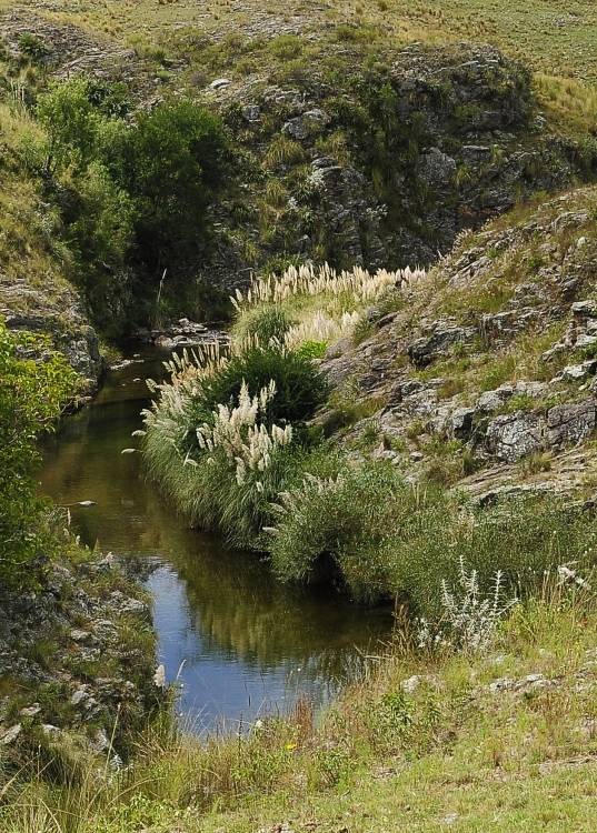 "Aguas limpias" de Ral Cancela