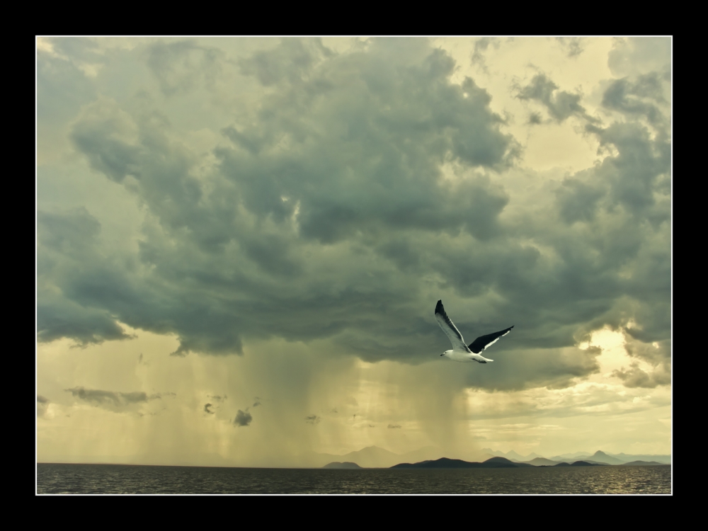 "vuelo tormentoso" de Jose Luis Anania