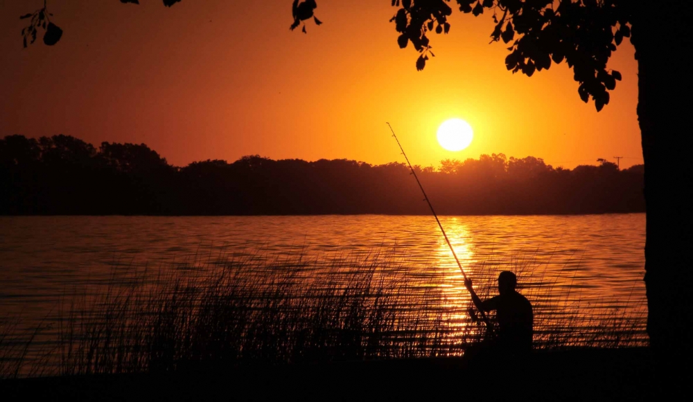 "el pescador" de Noemi Gomez