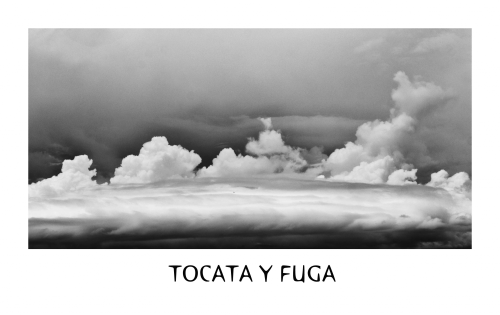 "TOCATA Y FUGA" de Analia Coccolo