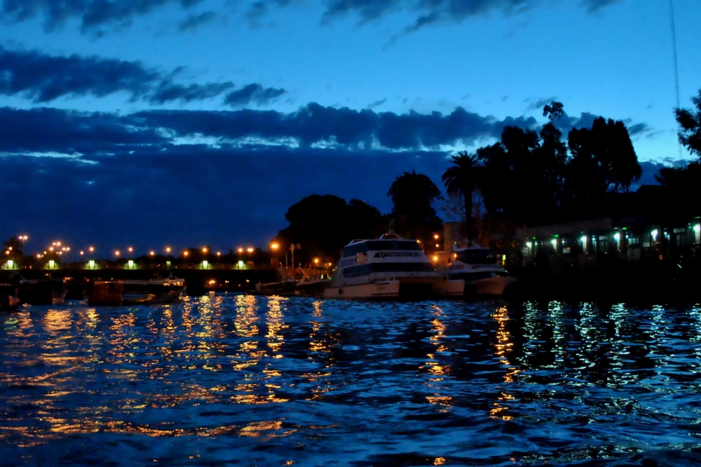 "`Una tarde en el tigre`" de Rosa Andrada