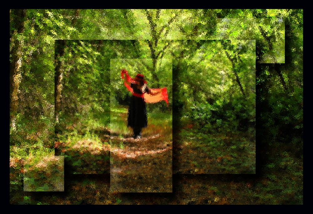 "Ilusion optica en el bosque" de Hugo Carballo (oxido)