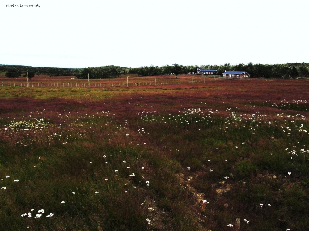 "Estancia Fueguina" de Marina Larramendy