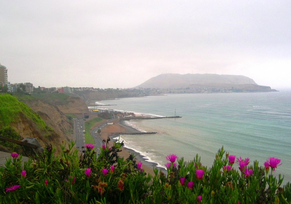 "Flores en una tarde gris" de Luis Fernando Somma (fernando)