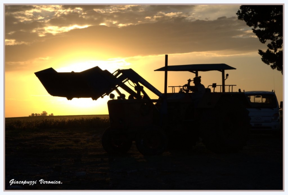 "Trabajando hasta el ocaso........" de Veronica Giacopuzzi