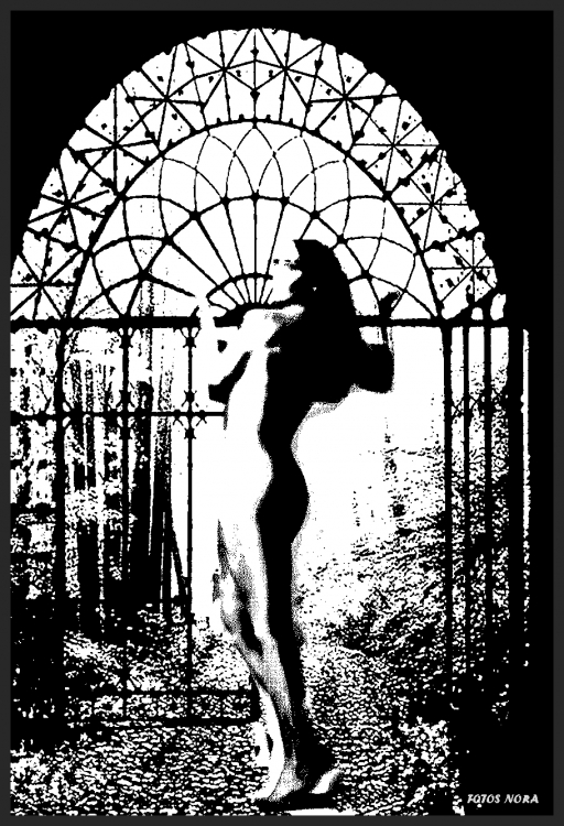 "La puerta desnuda" de Nora Noemi Bonnot