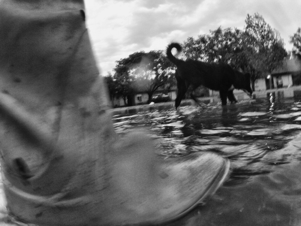 "boots in the rain" de Marcelo Alejandro Macaroni
