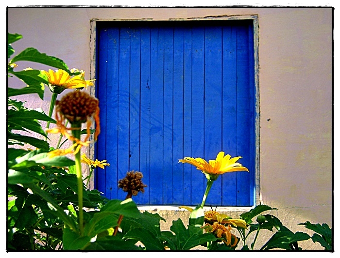 "Azul com amarelo" de Valeria Montrfano