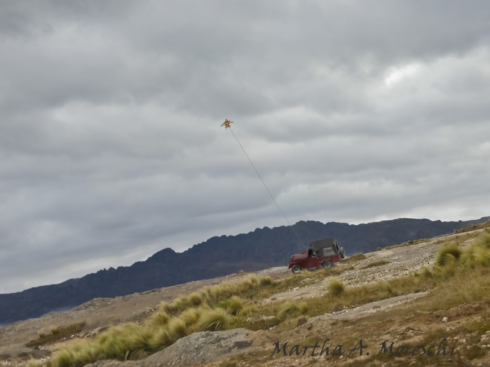 "En fro vuelo" de Martha A. Moreschi