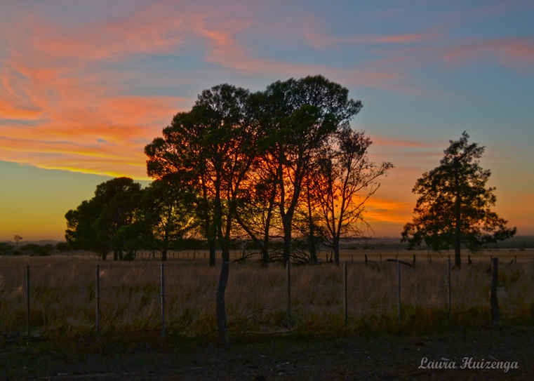 "Amanece en el campo" de Laura Noem Huizenga