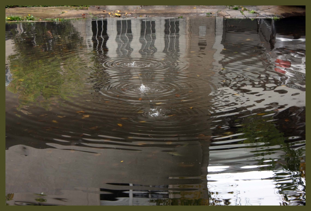 "Inundaciones, el asfalto se toma el agua." de Grace Lazzaro