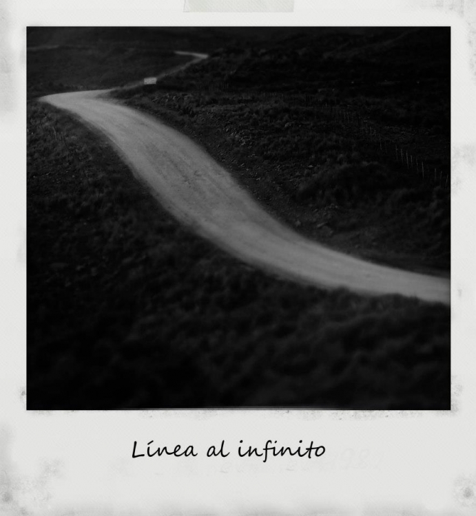 "Lnea al infinito" de Analia Coccolo