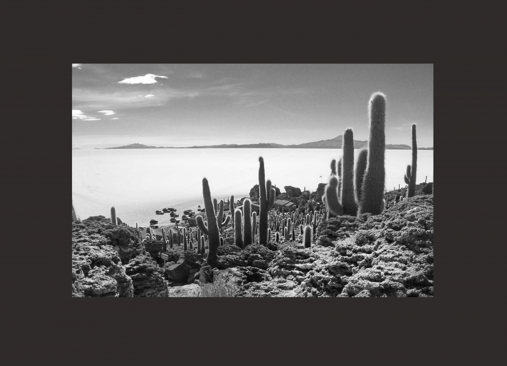 "otra vista del inmenso Salar de Uyuni" de Adriana Elizalde