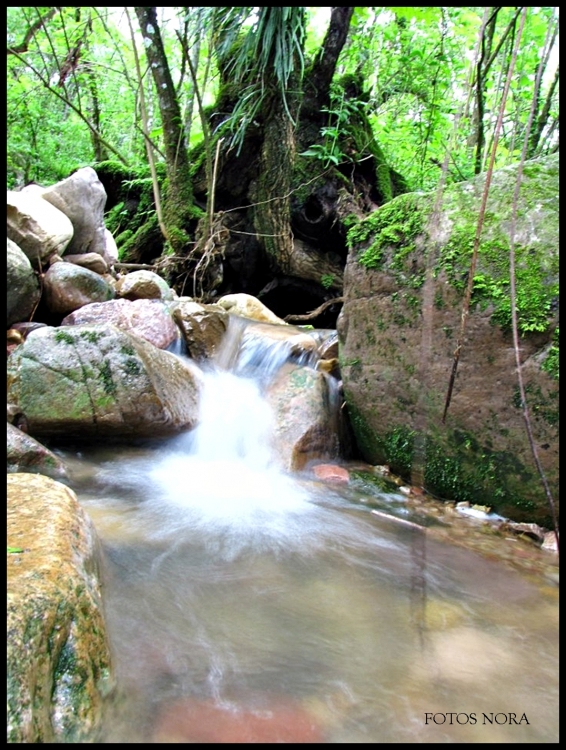 "Entre rocas y follajes...." de Nora Noemi Bonnot