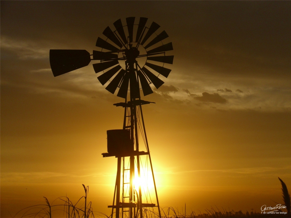 "Testigo de un atardecer" de Gustavo Russo