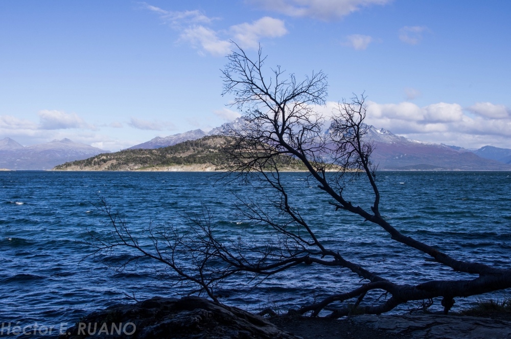 "Isla redonda" de Hctor Ernesto Ruano