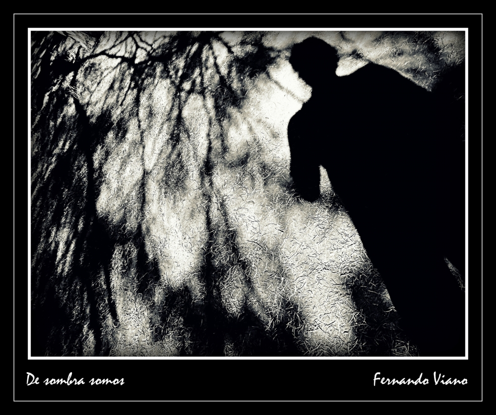 "De sombra somos" de Fernando Viano