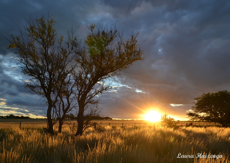 "Atardecer campestre" de Laura Noem Huizenga