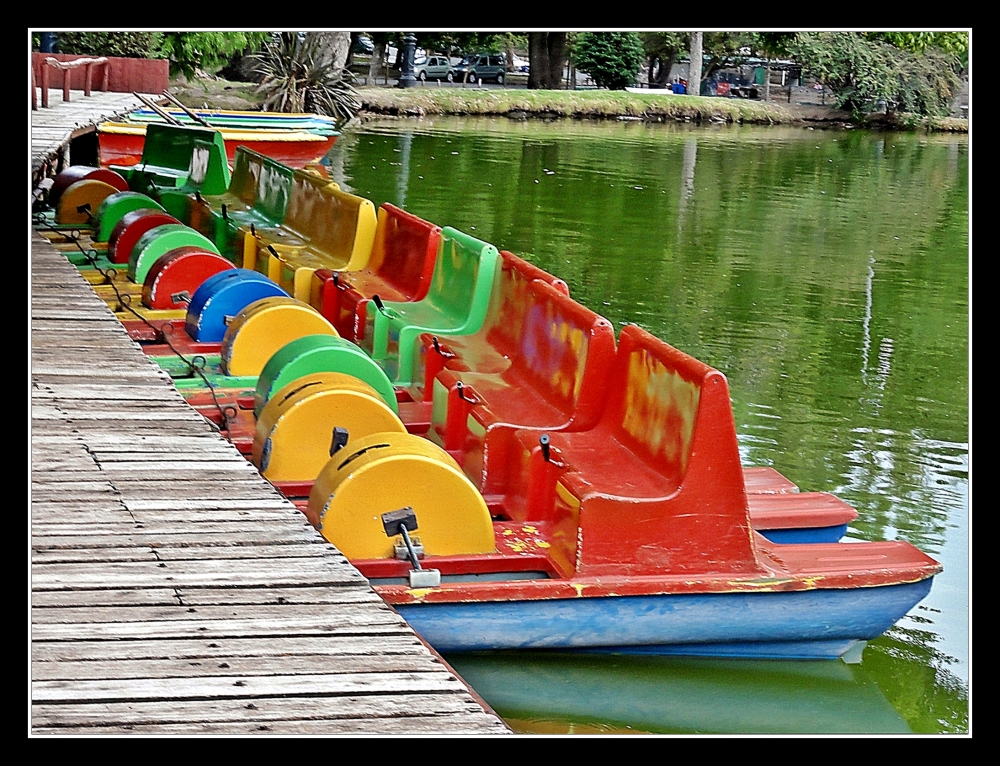 "Paseo por el lago platense" de Fernando Bordignon