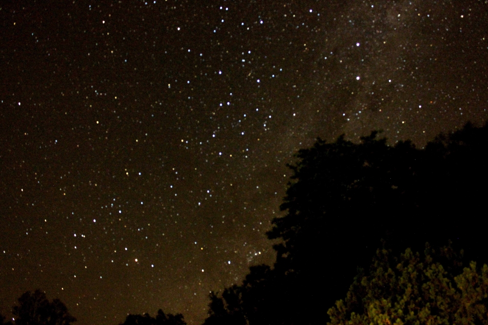 "Noche de estrellas" de Sebastin Navarro Lehoux