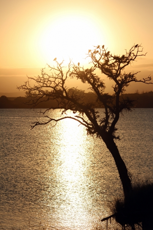 "Ocaso en el lago" de Nahuel Ruzzo