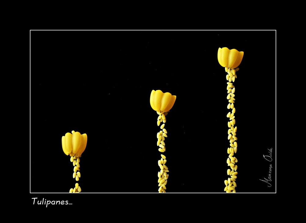 "Tulipanes... Madoz?..." de Carmen Esteban