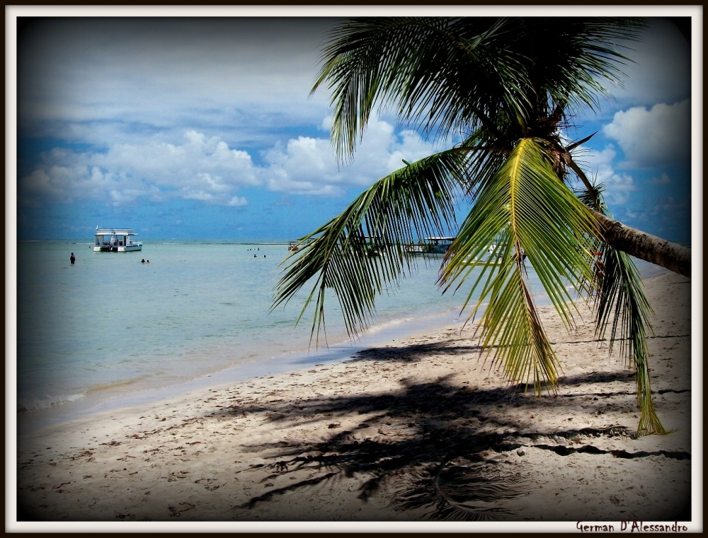 "Paraiso II" de German Dalessandro