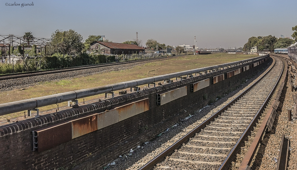 "Ferrocarril" de Carlos Gianoli