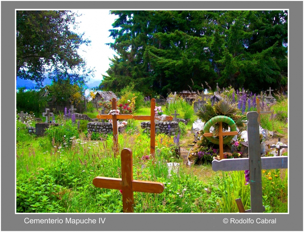 "cementerio mapuche IV" de Rodolfo Cabral