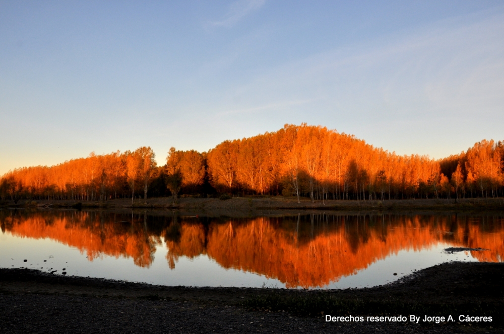 "`pez otoo ` _Abril 2013 Rio Limay-Neuquen -Arg." de Jorge A. Cceres