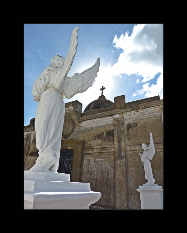 "Angeles de los perdedores" de Luciano Nardone