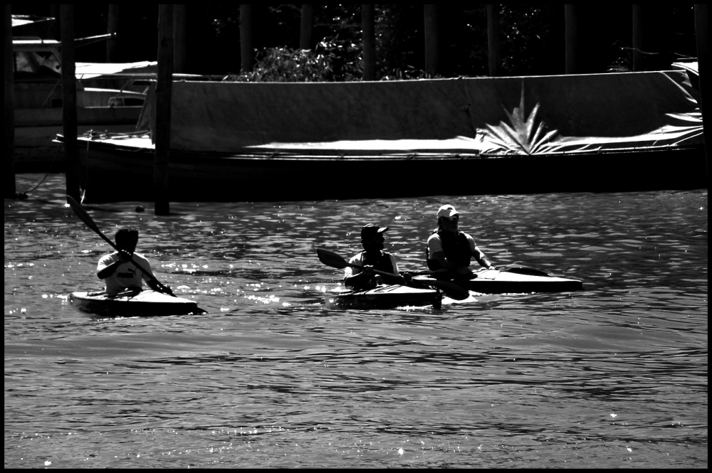 "NAVENGANDO POR EL RIO !! TIGRE," de Anglica Pegas