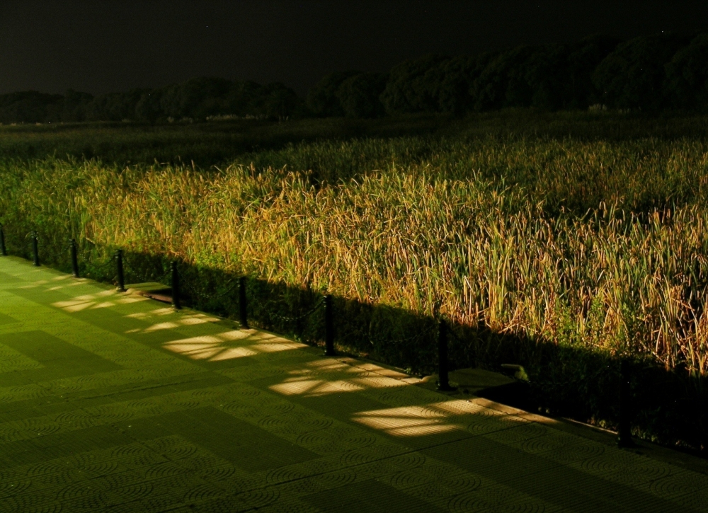 "Costanera , nocturna" de Norberto Vazquez