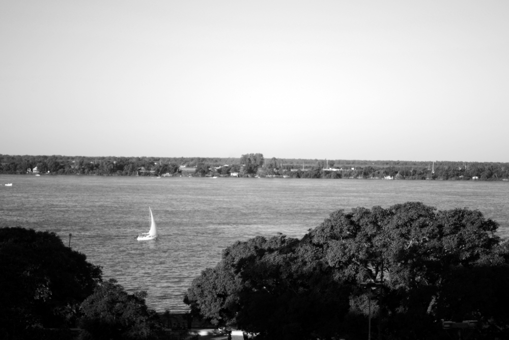 "Buscando el viento" de Guillermo Rutman