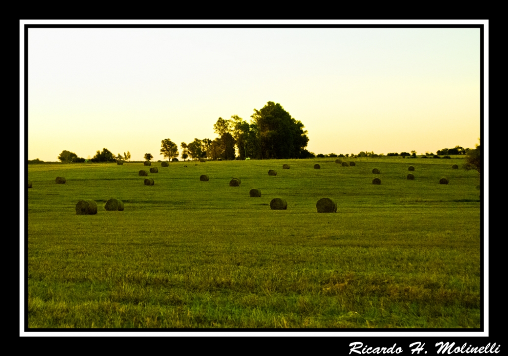 "En la pradera" de Ricardo H. Molinelli