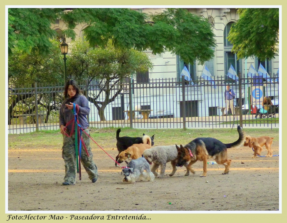 "Paseadora entretenida" de Hector Mao