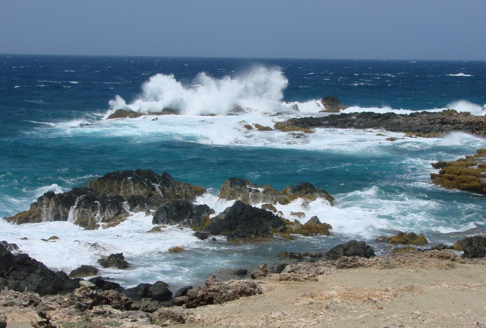 "La fuerza de las olas" de Monica Rollan