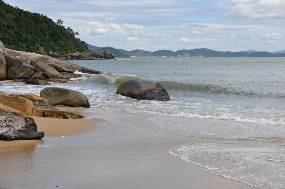 "selvas, playas y sol asi es Brasil" de Jose Alberto Vicente