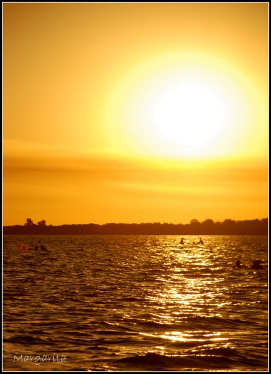 "clido atardecer" de Margarita Amerio