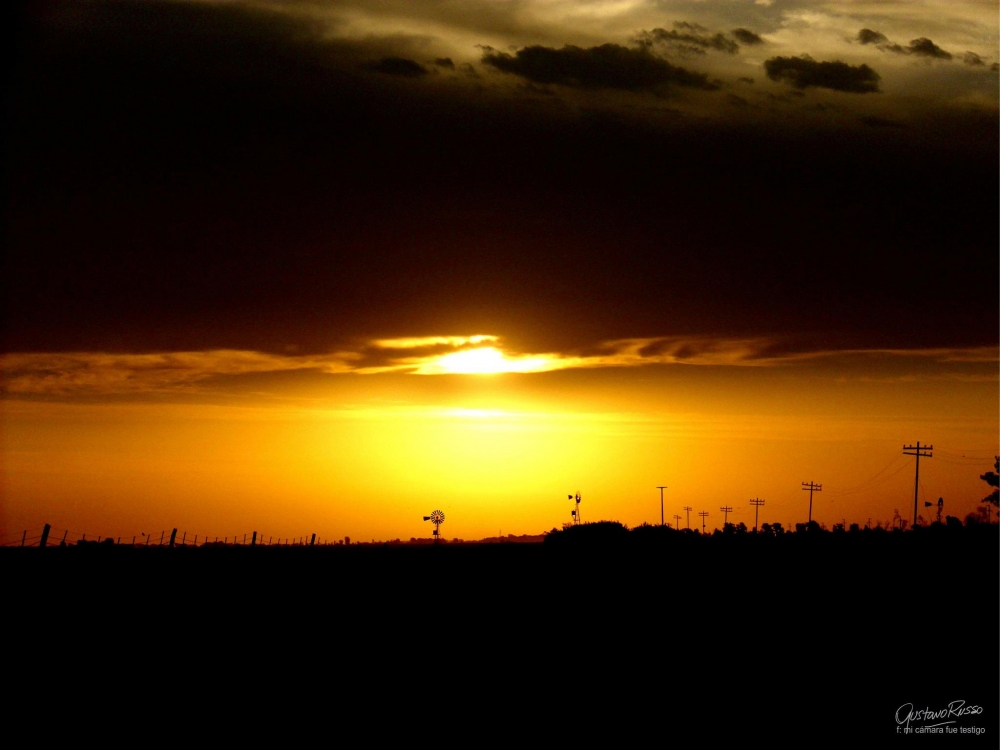 "Atardecer campero" de Gustavo Russo