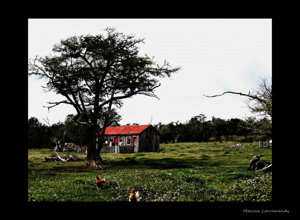 "Casita de campo III" de Marina Larramendy