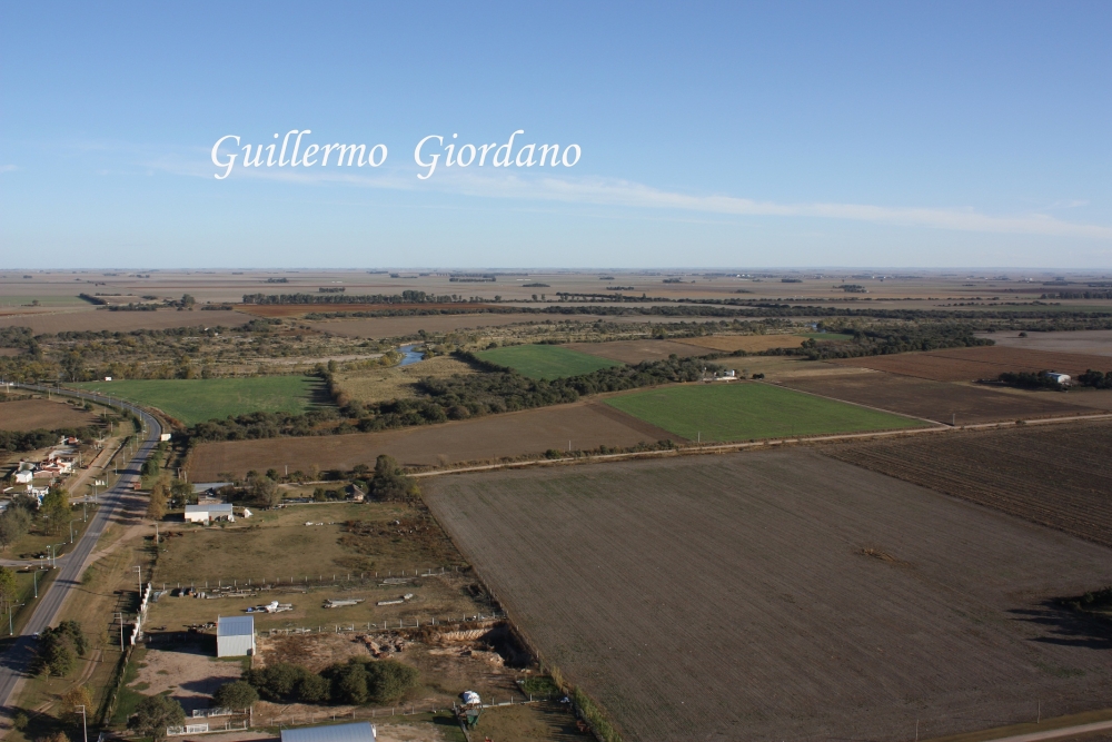 "Sin Ttulo" de Guillermo Giordano