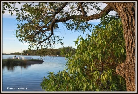 "Laguna de Navarro" de Paula Solari